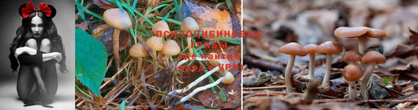 гашик Абдулино