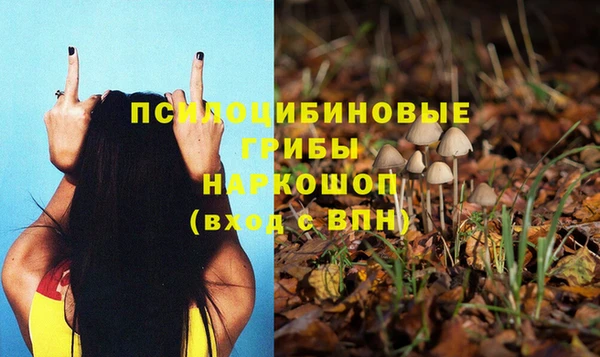 хмурый Абинск