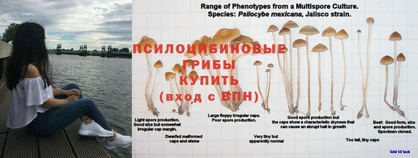 не бодяженный Алексин